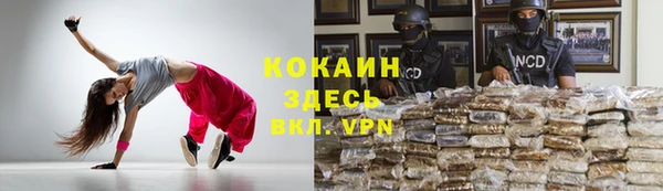 амф Зерноград