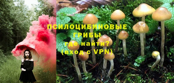 амф Зерноград