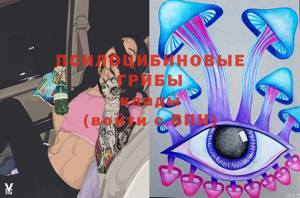 бошки Инсар