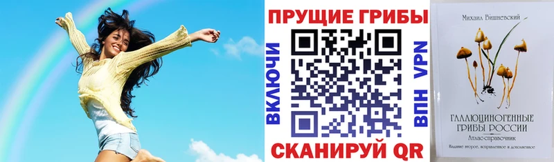Галлюциногенные грибы Magic Shrooms  Купить закладки  Красный Сулин 